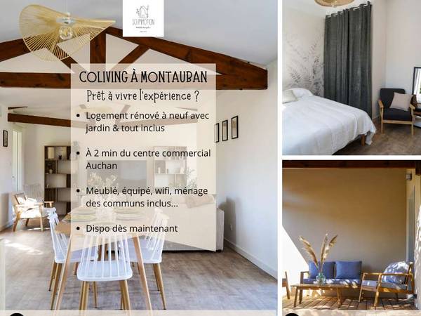 Coliving / Maison 8 pièces de 150 m², Montauban, Avenue de Fonneuve / Photo 2
