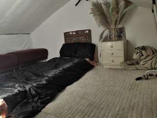 Chambre chez l'habitant / Maison 4 pièces de 200 m², Nogent-sur-Marne, Rue Thiers