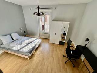 Flatsharing, 4-bedroom house , Lyon
