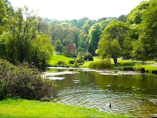 Colocation / Immeuble 3 pièces de 55 m², Paris, Avenue Reille / Photo 17