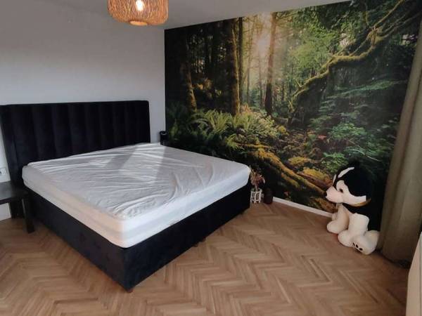 Colocation / Maison 10 pièces de 120 m², Ans, Rue Haut-Douy / Photo 8
