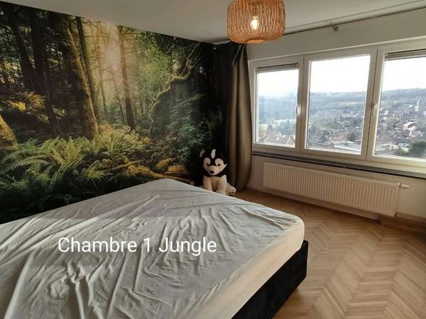 Colocation / Maison 10 pièces de 120 m², Ans, Rue Haut-Douy / Photo 2