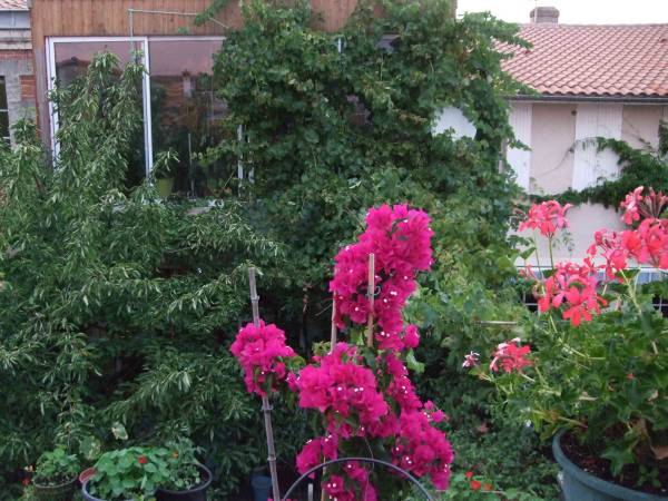 Colocation / Maison 7 pièces de 170 m², Bordeaux, Rue de Hourtins / Photo 2