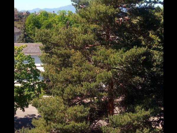 Colocation / Appartement 4 pièces de 80 m², Mulhouse, Avenue Robert Schuman / Photo 14