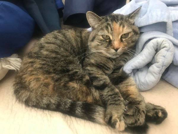 Coliving / Maison 9 pièces de 1200 m², Saint-Damien, Chemin Beaulieu / Photo 29