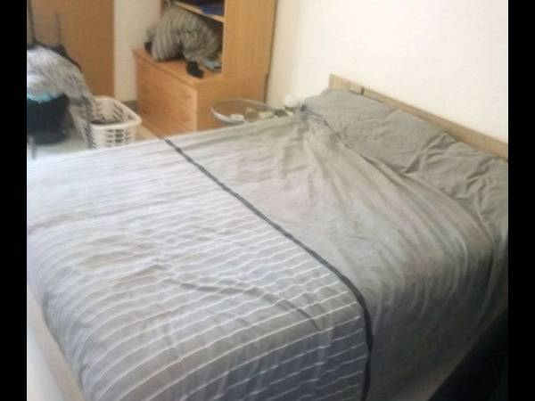 Location / Appartement 1 pièce, Belfort / Photo 2