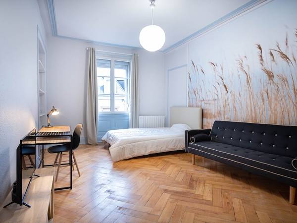 Colocation / Appartement 5 pièces de 167 m², Mulhouse, Avenue Robert Schuman / Photo 10