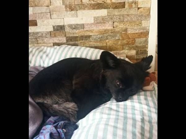 Colocation / Appartement 4 pièces de 85 m², Villejuif, Rue Jean Lurçat / Photo 10