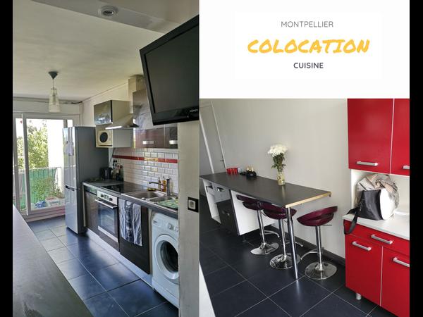 Colocation / Appartement 3 pièces de 63 m², Montpellier, Allée Théodore de Bèze / Photo 2