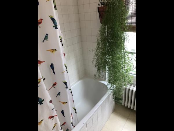 Colocation / Appartement 3 pièces de 49 m², Paris, Rue Boulle / Photo 6