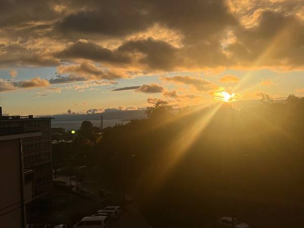 Colocation / Appartement 3 pièces de 85 m², Lausanne, Avenue des Boveresses / Photo 11