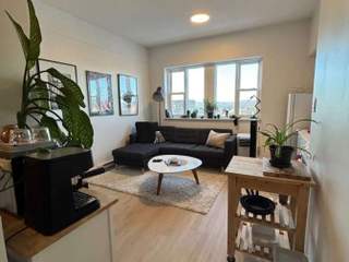 Location / Appartement 1 pièce de 30 m², Québec, Rue Sainte-Ursule