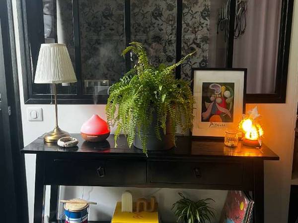 Sous-location / Appartement 2 pièces de 31 m², Paris, Rue du Faubourg Saint-Martin / Photo 2