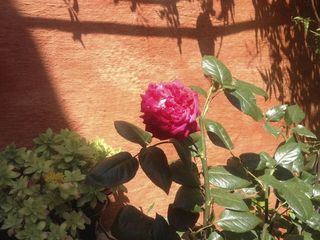 Flatsharing / 5-bedroom loft · 150 m², Montreuil, Place de la République