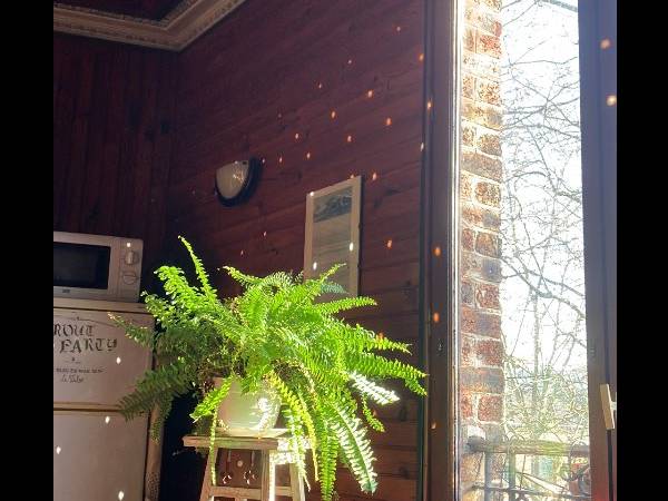 Colocation / Appartement 3 pièces de 50 m², Montreuil, Rue Carnot / Photo 2