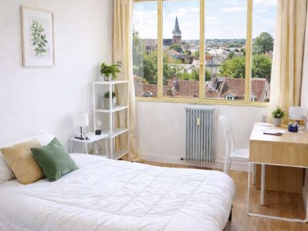 Colocation / Appartement 3 pièces de 70 m², Châteauroux, Rue Saint-Fiacre / Photo 2