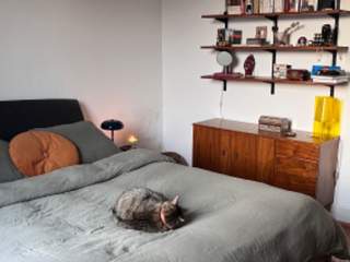 Sous-location / Appartement 3 pièces de 60 m², Strasbourg, Rue du Spesbourg