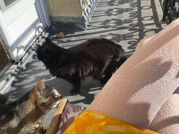 Colocation / Immeuble 3 pièces de 100 m², Montreuil, Rue de Paris / Photo 2