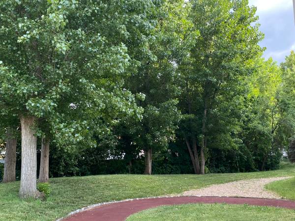 Colocation / Appartement 3 pièces de 70 m², Nanterre, Rue du Tir / Photo 9