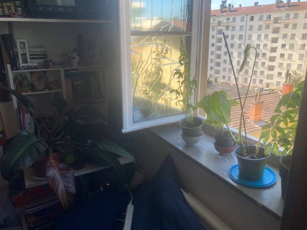 Sous-location / Appartement 2 pièces de 30 m², Lyon, Rue Jérome Dulaar / Photo 5