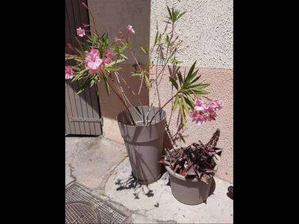 Colocation / Appartement 3 pièces de 38 m², Marseille, Rue camille desmoulins / Photo 19