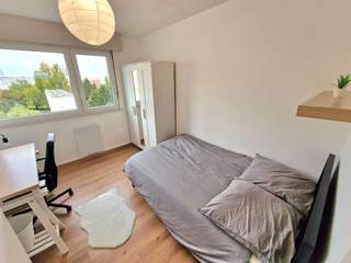 Colocation / 5 rooms apartment · 90 m², Strasbourg, Rue Curie