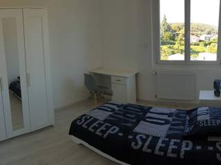 Room in a live-in landlord's home / 1 room apartment, Belfort