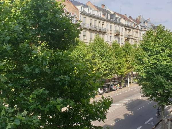 Colocation / Appartement 5 pièces de 100 m², Strasbourg, Avenue des Vosges / Photo 5