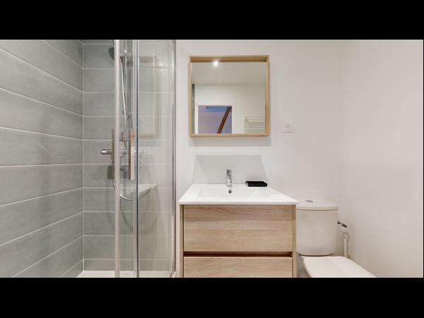 Coliving / Maison 10 pièces de 270 m², Rennes, Rue Bigot de Préameneu / Photo 19