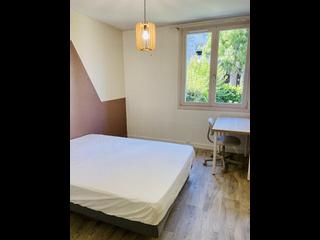 Flatsharing, 4-bedroom flat , Grenoble