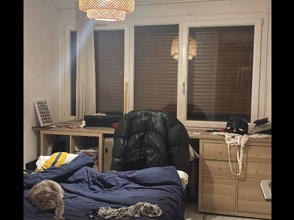 Colocation / Appartement 2 pièces de 50 m², Maisons-Alfort, Domaine de Château Gaillard / Photo 2