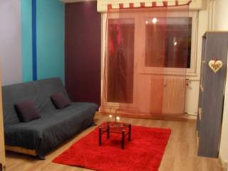 Room in a live-in landlord's home / 1 room apartment, Strasbourg