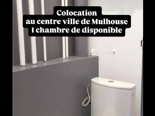 Colocation / Appartement 3 pièces de 62 m², Mulhouse, Avenue de Colmar / Photo 8