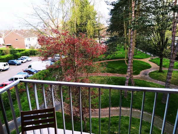 Colocation / Appartement 6 pièces de 91 m², Rouen, Rue François Couperin / Photo 2