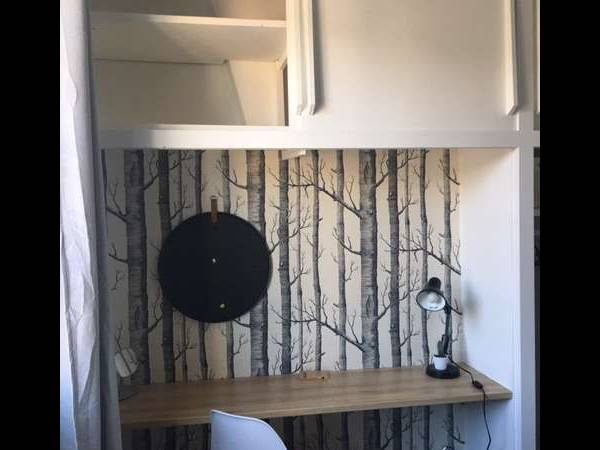 Colocation / Appartement 4 pièces de 78 m², Agen, Rue de Strasbourg / Photo 2