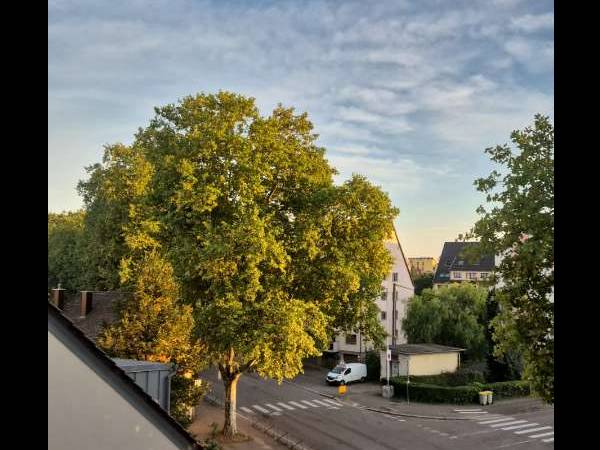 Colocation / Appartement 3 pièces de 63 m², Strasbourg, Route de Mittelhausbergen / Photo 11