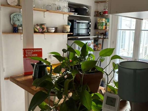 Sous-location / Appartement 4 pièces de 55 m², Paris / Photo 2