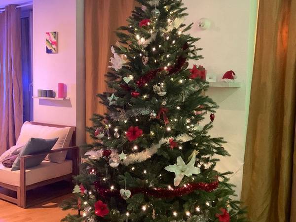 Colocation / Appartement 5 pièces de 93 m², Strasbourg, Place des Orphelins / Photo 8