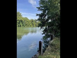 Flatsharing / Flat, Rueil-Malmaison