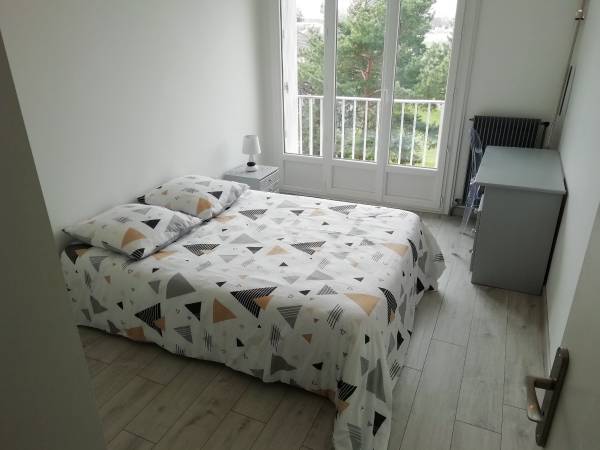 Colocation / Appartement 4 pièces de 75 m², Bron, Avenue Pierre Allard / Photo 6