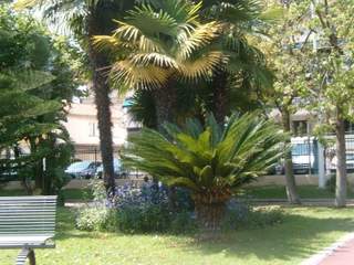 Rental / Studio, Cannes