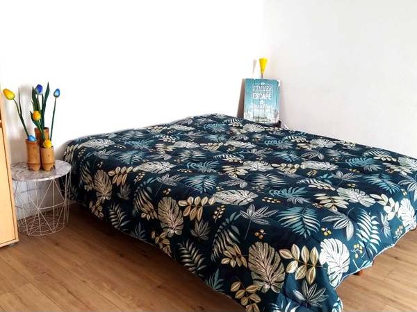 Colocation / Maison 3 pièces de 120 m², Muret, Rue de Louge / Photo 2