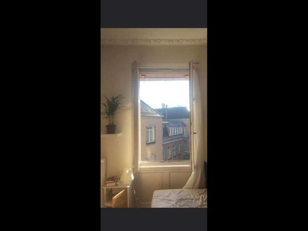 Sous-location / Appartement 7 pièces de 160 m², Strasbourg, Rue Auguste Lamey / Photo 2