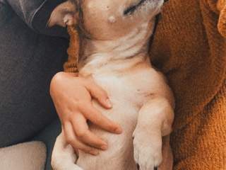 🙃