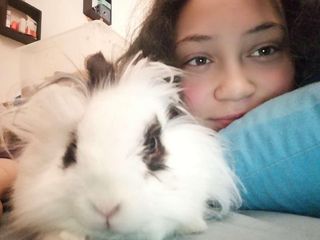 Liza